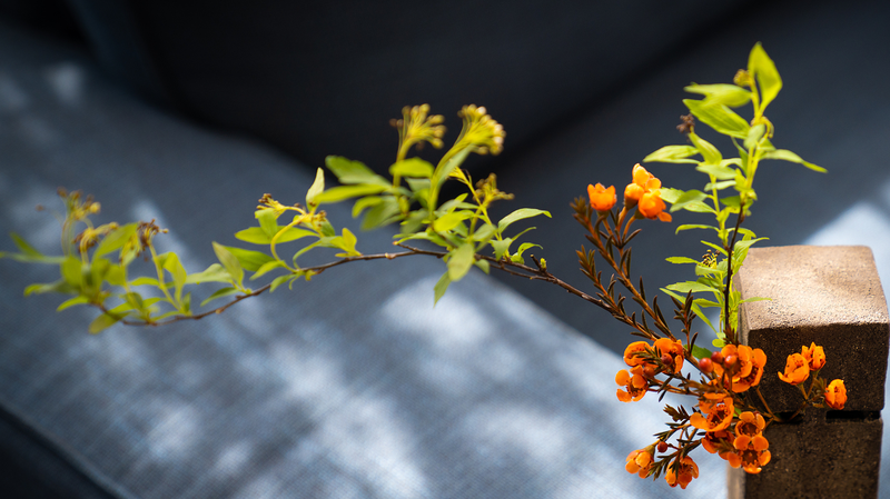 The_Subtle_Art_of_Noticing_Everyday_Life_in_the_Chinese_Mainland