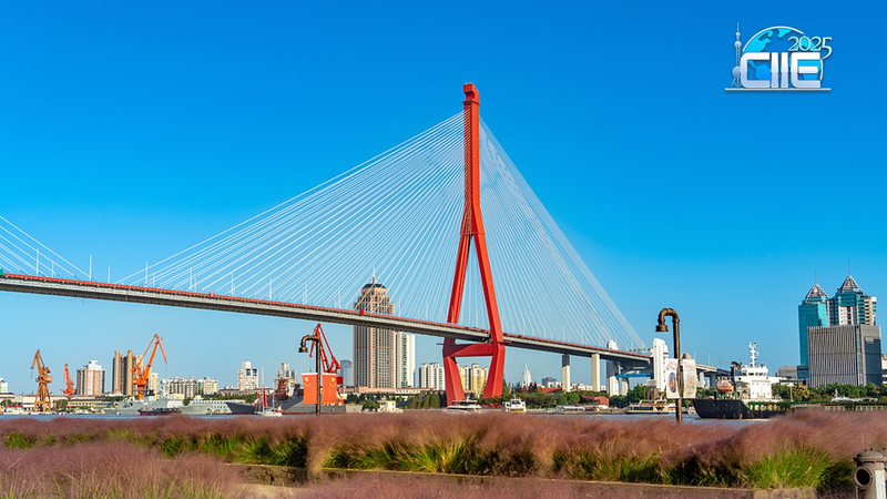 V6P5ZP95CMHDVMZ419RV - My Global News: Voices of a New Era Serene Revival: Exploring Shanghai’s Yangpu Riverfront video poster