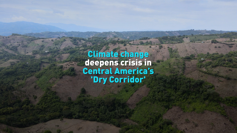 VEIEVTXVGI0EC0DULVYJ - My Global News: Voices of a New Era Central America’s Dry Corridor Faces Intensified Climate Crisis video poster