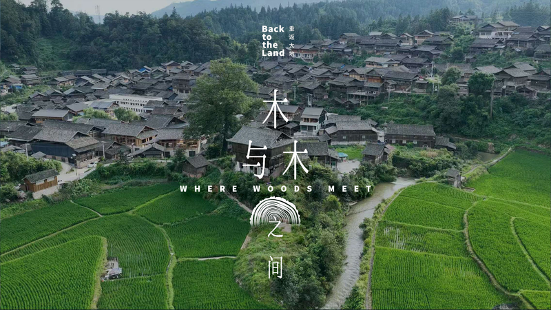 Where_Woods_Meet__Mastering_Timber_Framing_in_China_s_Dong_Villages video poster