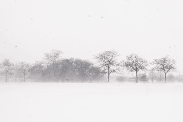 Winter_Storm_Warning_Hits_Michigan__Live_Road_Conditions___Safety_Guide video poster