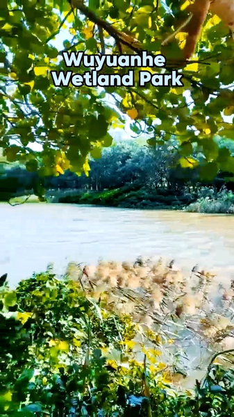 Wuyuanhe_Wetland_Park__Haikou_s_Natural_Oxygen_Bar_poster - My Global News: Voices of a New Era Wuyuanhe_Wetland_Park__Haikou_s_Natural_Oxygen_Bar video poster