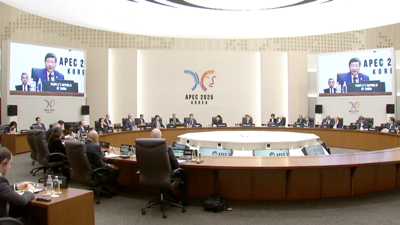 Xi_Delivers_Visionary_Speech_at_APEC_s_32nd_Economic_Leaders__Meeting video poster