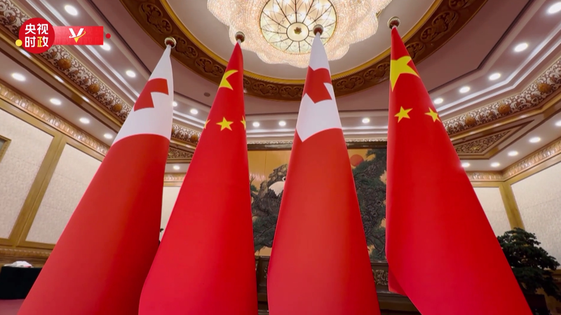 Xi_Jinping_Meets_King_Tupou_VI__Reinforcing_China_Tonga_Ties