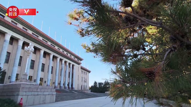 Xi_Jinping_Welcomes_Tonga_King_in_Beijing_Ceremony