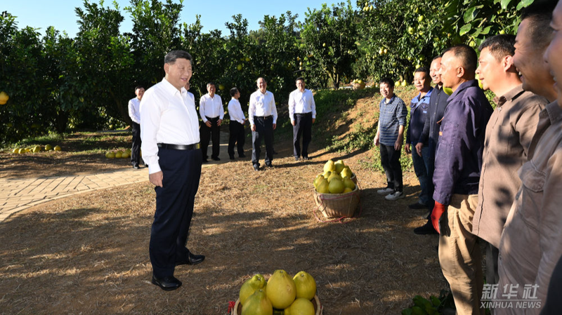 Xi_Jinping_s_Meizhou_Inspection__Heritage__Pomelos___Rural_Revival - My Global News: Voices of a New Era Xi_Jinping_s_Meizhou_Inspection__Heritage__Pomelos___Rural_Revival