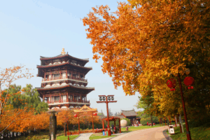 Xi_an_s_Tang_Paradise_Radiates_in_Autumn_s_Golden_Glow
