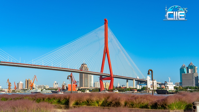 Y1D9SLASWW7P169UGWKL - My Global News: Voices of a New Era Yangpu Riverfront: Shanghai’s Industrial Past Reborn into Tranquil Retreat video poster