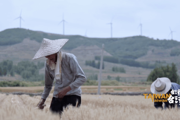 Yang_Du__Bridging_the_Strait_Through_Literature_and_Dialogue video poster