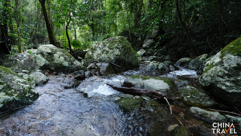 Exploring Wuzhishan: Hainan’s Biodiversity Sanctuary
