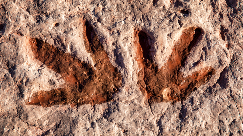 200_Million_Year_Old_Dinosaur_Footprints_Discovered_in_Sichuan - My Global News: Voices of a New Era 200_Million_Year_Old_Dinosaur_Footprints_Discovered_in_Sichuan