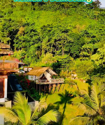 Forest Camping in Hainan’s Baihualing: A Winter Getaway into Pristine Rainforest video poster