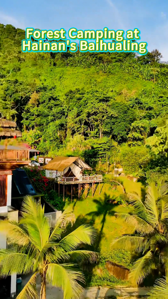 Forest Camping in Hainan’s Baihualing: A Winter Getaway into Pristine Rainforest video poster