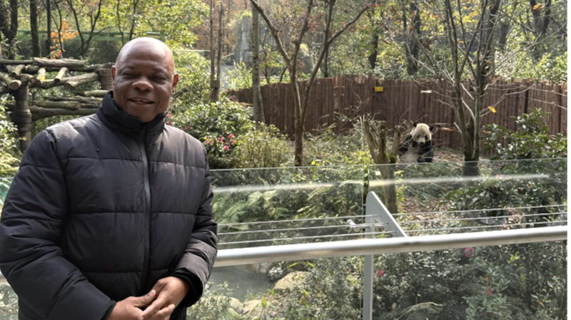 Inside the Chinese Mainland’s Giant Panda Conservation and Biodiversity Drive