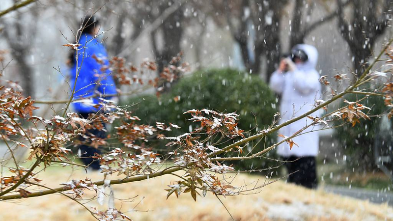 Cold Wave to Sweep the Chinese Mainland, Temps Could Plunge 12°C