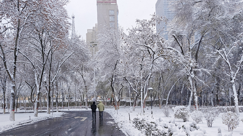 Blizzard_Paralyzes_Transport_Across_Xinjiang_Uygur_Region video poster