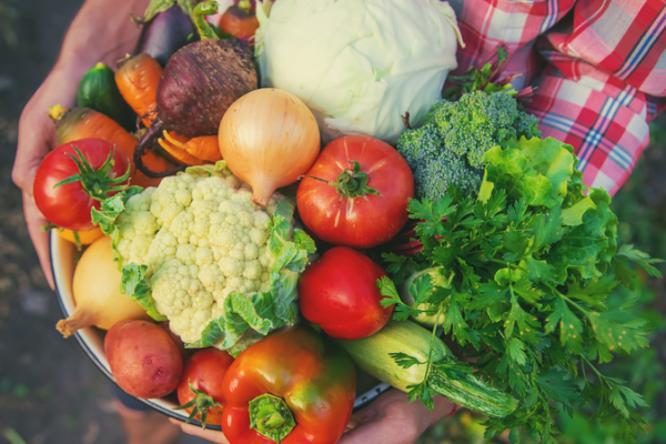 CSSC_Debuts_Smart_Shipboard_Farm_for_Year_Round_Offshore_Produce