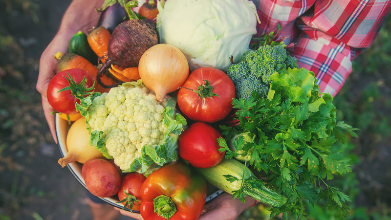 CSSC_Debuts_Smart_Shipboard_Farm_for_Year_Round_Offshore_Produce - My Global News: Voices of a New Era CSSC_Debuts_Smart_Shipboard_Farm_for_Year_Round_Offshore_Produce