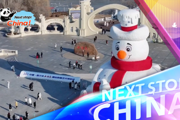 Harbin’s 38th Sun Island Snow Sculpture Expo Kicks Off Next Week video poster