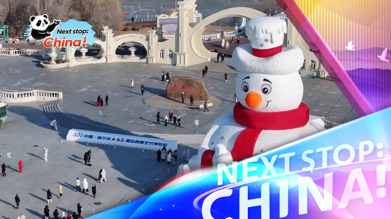 Harbin’s 38th Sun Island Snow Sculpture Expo Kicks Off Next Week video poster