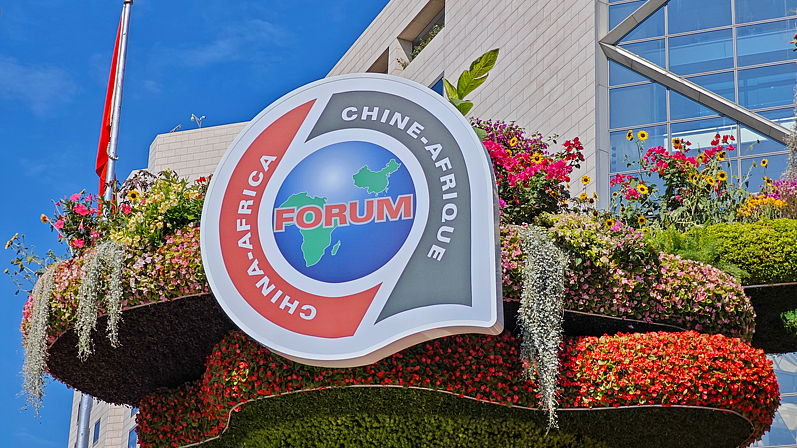 China_Africa_Partnership__10_Years_of_Strategic_Growth