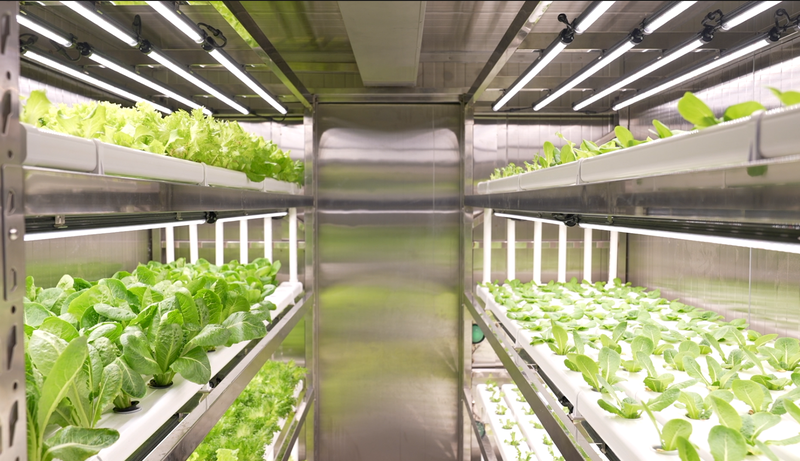 China_Unveils_Hybrid_Smart_Farming_Module_for_Year_Round_Sea_Cultivation video poster