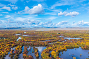 Chinese_Mainland_Wetlands_Remain_Above_800_Million_Mu_in_14th_Five_Year_Plan