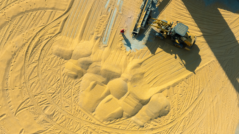 Chinese_Mainland_s_2025_Grain_Harvest_Hits_714_9M_Tonnes