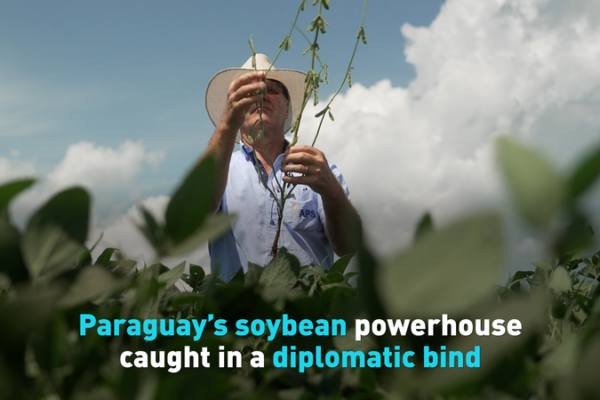 Diplomatic_Detours_Reroute_Paraguay_s_Soybean_Exports video poster