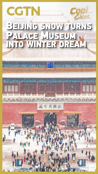 Beijing’s First Snow Turns Palace Museum into Winter Wonderland video poster