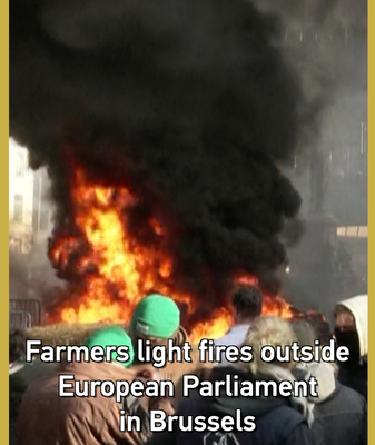 Farmers_Stage_Fiery_Protest_at_European_Parliament_Over_Mercosur_Deal video poster