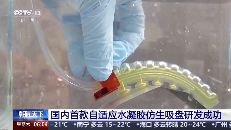 First_Adaptive_Hydrogel_Suction_Disc_by_Chinese_Mainland_Scientists_Boosts_Underwater_Robotics - My Global News: Voices of a New Era First_Adaptive_Hydrogel_Suction_Disc_by_Chinese_Mainland_Scientists_Boosts_Underwater_Robotics