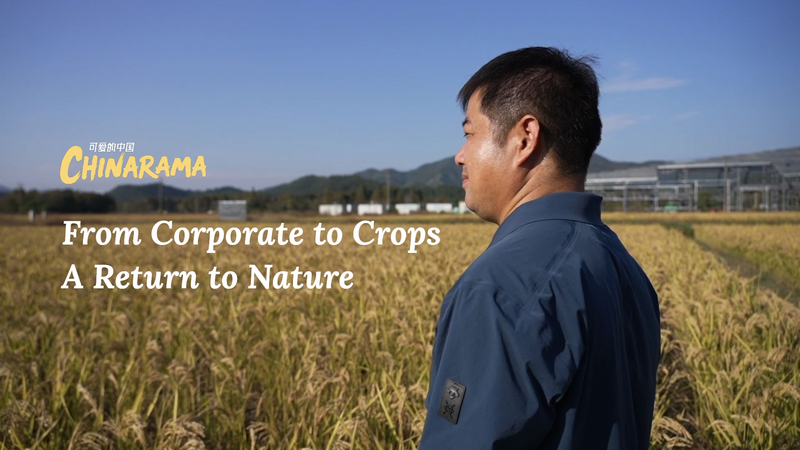 From_Corporate_to_Crops__Wang_Luliang_s_Return_to_Nature_in_Zhejiang video poster
