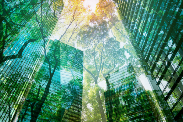 Green_Economy_Set_to_Reach__7_Trillion_by_2030__WEF_BCG_Finds