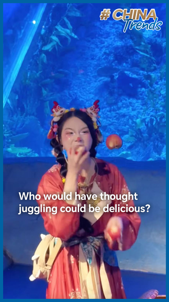 Guangzhou_Aquarium_Star_Goes_Viral_Juggling_and_Eating_Apples video poster