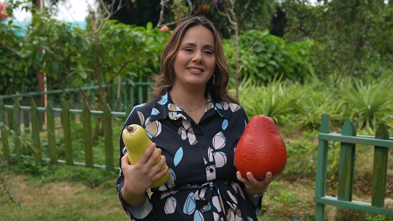 Hainan_s_Tropical_Revolution__AgriTech_Fuels_Global_Fruit_Exports video poster