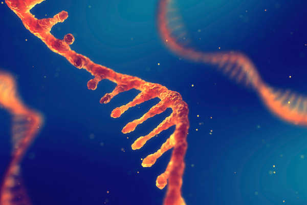 Hidden_RNA_Messages_Reveal_Viral_Hijacking_of_Host_Cells