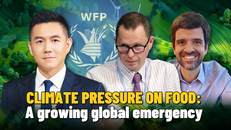 How_Climate_Pressure_Fuels_the_Global_Food_Crisis video poster