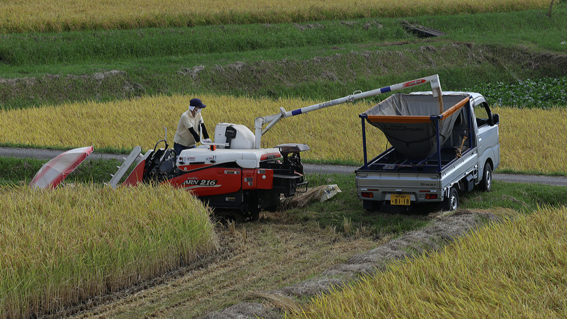Japan_s_Self_Employed_Farmers_Hit_Record_Low_Amid_Aging_Workforce
