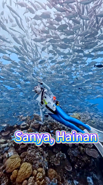KU4BTBKCVAGF8Q6NUSZC - My Global News: Voices of a New Era Sanya: Diving Paradise in Hainan’s Underwater World video poster