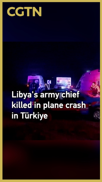 Libya_s_Army_Chief_Killed_in_Plane_Crash_Near_Ankara video poster
