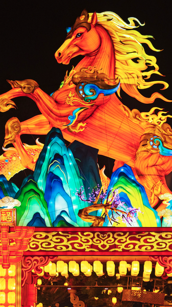 Nanjing_s_Qinhuai_Lantern_Festival_Gears_Up_for_40th_Edition video poster