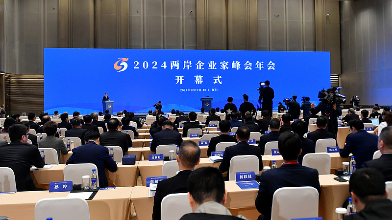 New_Cross_Strait_CEO_Summit_and_Fujian_Measures_Boost_Economic_Ties