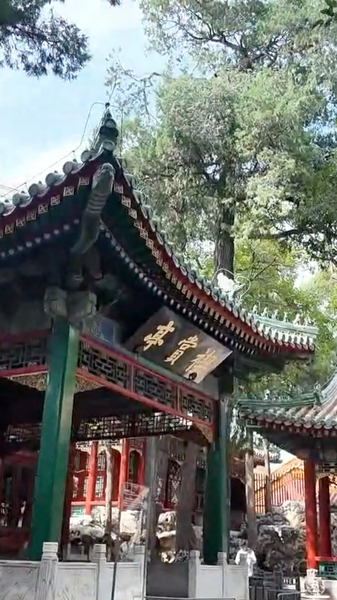 Qianlong_Garden_Opens_After_100_Year_Wait_in_Forbidden_City video poster