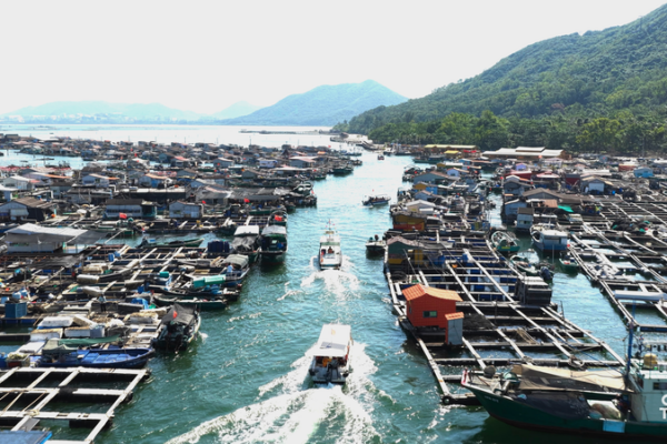 Savor_Danjia_Heritage_on_Hainan_s_Floating_Tables