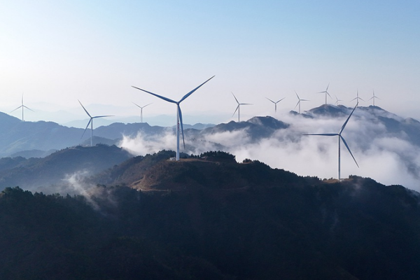 Science_Names_Renewable_Energy_Surge_as_2025_Breakthrough_of_the_Year