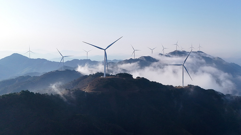 Science_Names_Renewable_Energy_Surge_as_2025_Breakthrough_of_the_Year