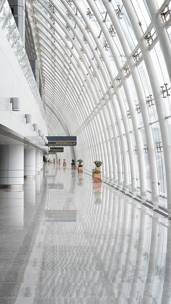 Tokyo_Tourism_Takes_a_Hit_as_Chinese_Mainland_Flight_Cancellations_Surge video poster