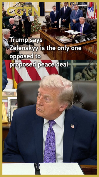 Trump_Claims_Zelenskyy_Only_Opposed_to_Peace_Deal video poster