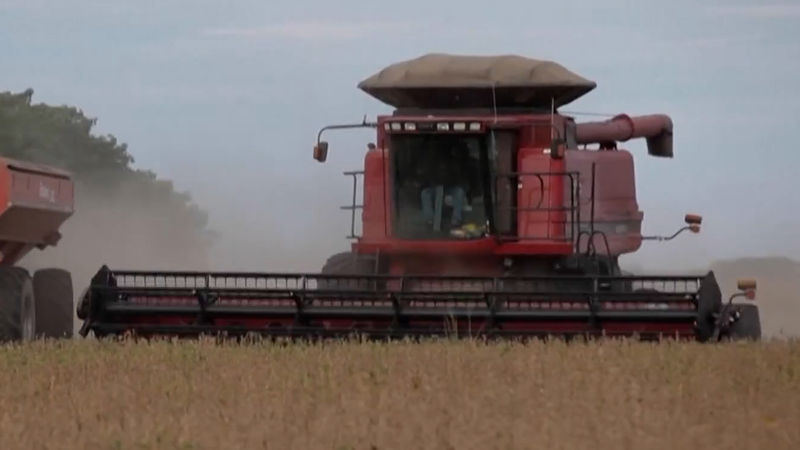 Trump_Unveils__12B_Aid_Package_to_Support_U_S__Farmers video poster